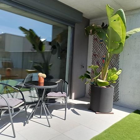 Casa Das Falcoeiras - Estudio Com Terraco Privado 阿威罗 外观 照片